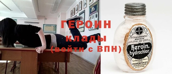 прущие грибы Горнозаводск