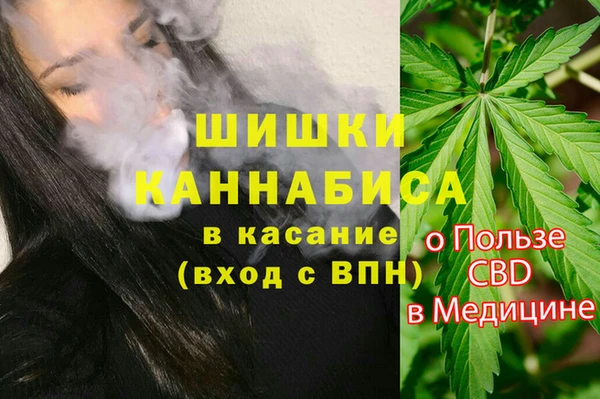 молекула духа Горно-Алтайск