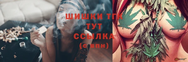 прущие грибы Горнозаводск