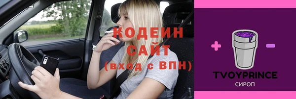 прущие грибы Горнозаводск