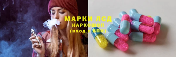 прущие грибы Горнозаводск