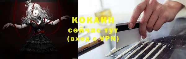 прущие грибы Горнозаводск