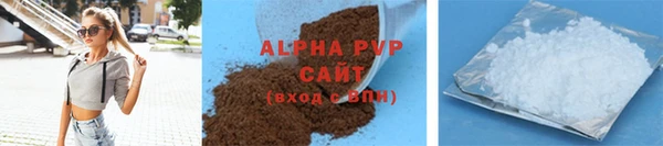 прущие грибы Горнозаводск