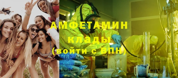 прущие грибы Горнозаводск