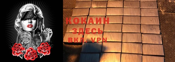 прущие грибы Горнозаводск