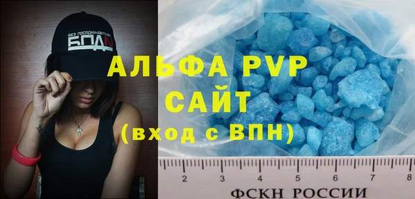 прущие грибы Горнозаводск
