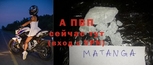 прущие грибы Горнозаводск