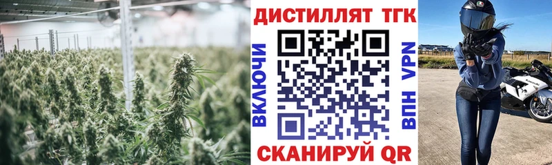 MEGA как зайти  Уяр  ТГК THC oil 